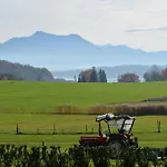 公寓 Berg- Und Seeblick